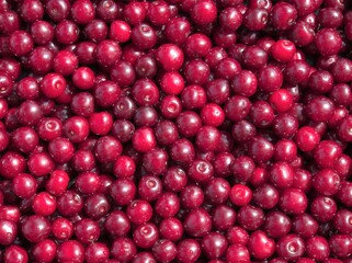 Background with cherry berries. Red berry background. Fruit and berry prices. Market news