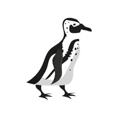Penguin bird black white color. Vector illustration cartoon style