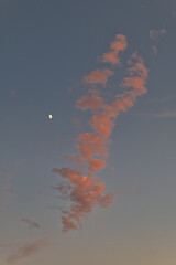 The moon and pink clouds from sunset