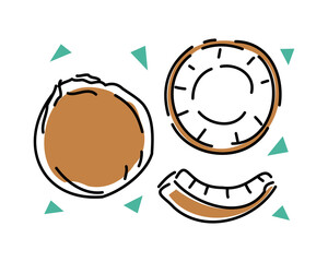 Whole coconut and slices on a white background set. Vector abstract illustration