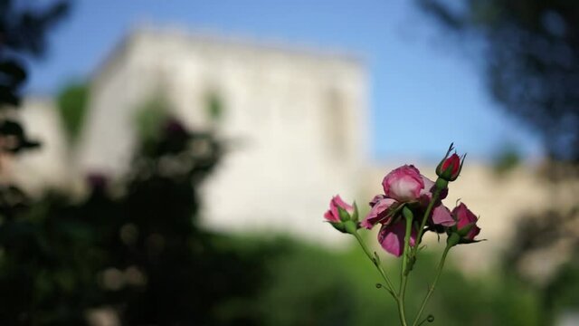 Byzantine Golden Gate of Constantinople in Yedikule fortress of Istanbul Turkey