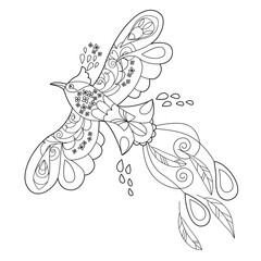 Tropical fancy bird. Black and white picture. Contour linear illustration for coloring book with paradise bird. Line art design for adult or kids  in zentangle style and coloring page.