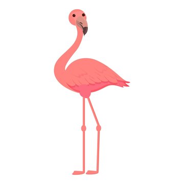 Summer Flamingo Icon Cartoon Vector. Tropical Bird. Cute Pink Animal