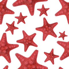 Red starfish seamless pattern. Isolate on a white background. Endless texture for sea design, greeting cards, fabrics, announcements, posters