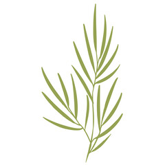 Vector illustration of a palm tree branch with green leaves. Design for fabric, printing, wallpaper, packaging, posters, medicine, beauty, postcards.