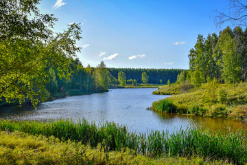 Scenic landscape of a forest lake near Ryazan