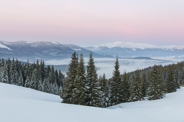 Fototapeta na wymiar Sunset in the winter Carpathian mountains. Sun disk and long rays at sunset in the winter mountains. Picturesque sunset in the mountains.Vibrant photo wallpaper.