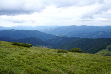 Mountains, Carpathians, Ukraine, alpine meadows.