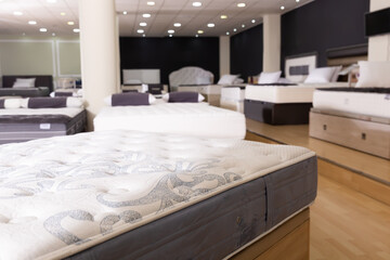 New orthopedic mattresses is offer in the shop.