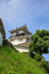 Fototapeta premium 掛川城