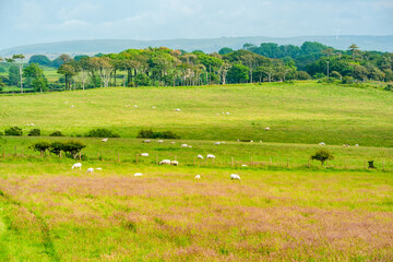 Rural Pembrokshire in Wales