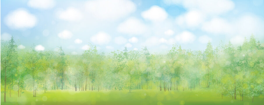 Vector green forest and blue sky,  nature background.  Summer  landscape.