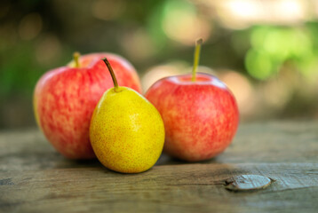 One pear and two delicious country apples on the background on the bench with the space for your text. Selective focus, the beautiful rustic concept of the season of harvest.