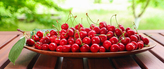 Fruit basket on a wooden table with a natural background. Ripe berry close-up. Lots of ripe cherries, harvest.