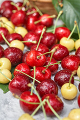 Ripe red and yellow cherries on gray background