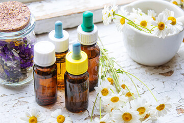 Medicinal herbs in bottles. chamomile oil extract. Selective focus.