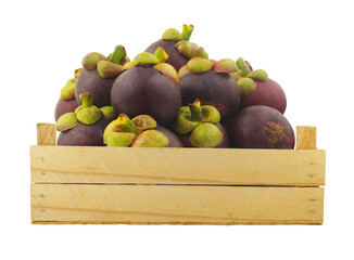 Heap of mangosteen fruits in wooden crate isolated on white	