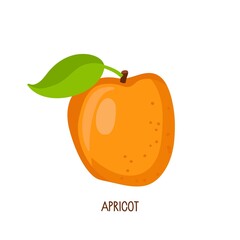 Flat icon fresh orange apricot fruit isolated on white background. Farmer Market Logo. Organic tropical food eco template for menu, juice label, apricot products, fruit website, banner