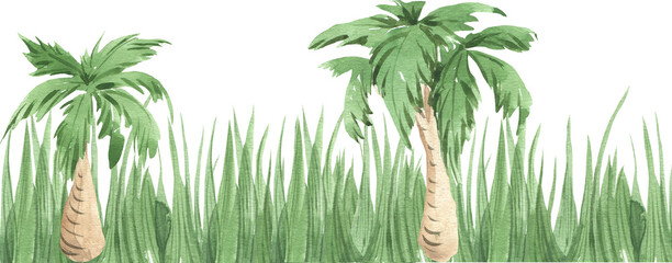 illustration of watercolor grass and palm trees