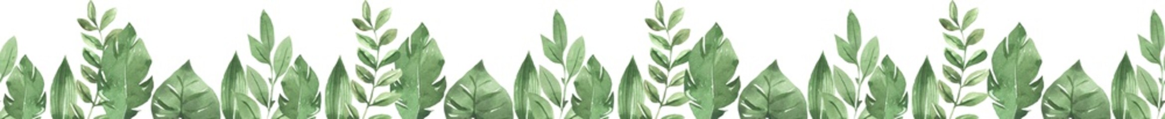 seamless border of tropical leaves and monstera