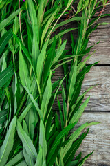 Green leaves of cypress on a gray wooden background. Ivan-tea. Preparation of a useful medicinal tea. A wild medicinal plant. Summer in nature. Pattern