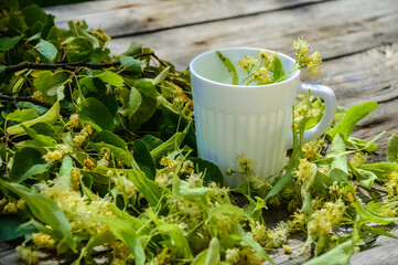Collecting and harvesting linden flowers. Fragrant linden flowers on a wooden background. linden tea in a white mug. The use of linden flowers