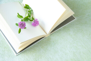 本とアカツメクサの花束