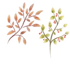 Set of Green leaves and red watercolor pattern for background summer autumn
