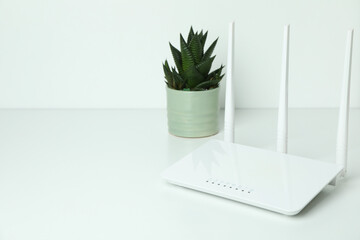 Wi-fi router and succulent on white background