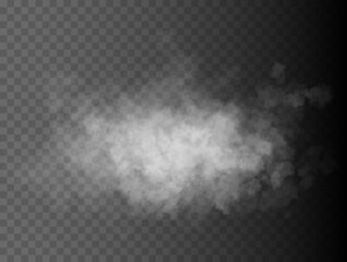 Fototapeta Fog or smoke isolated transparent special effect. White vector cloudiness, mist or smog background. Vector illustration obraz