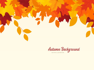 Autumn falling leaves isolated on white background. Autumn background with golden maple and oak leaves.