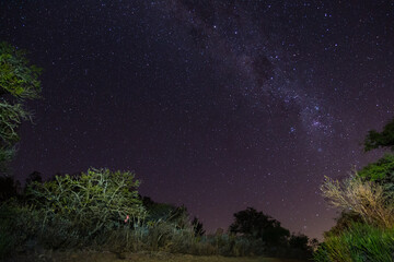 star-sparkling night sky over south africa 1