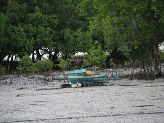 A boat is docked in the middle of a swampy area at low tide