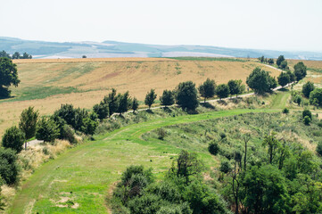 Fototapeta na wymiar landscape with trees and fields