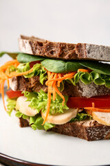 Plate with tasty sandwich on light background, closeup