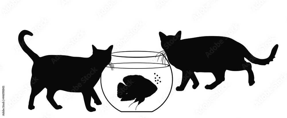 Wall mural Two hungry cats walking around Oscar fish in fishbowl aquarium vector silhouette illustration isolated on white background. Home pet, curious cat and scared fish.