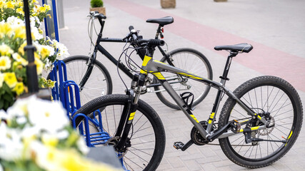 Fototapeta na wymiar Two parked bicycles on a street near a road, flowers