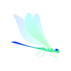 Illustration of dragonfly. Vector colorful print for prints, clothing, packaging, stickers.