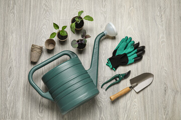 Watering can, plants seedlings and gardening tools on grey wooden background