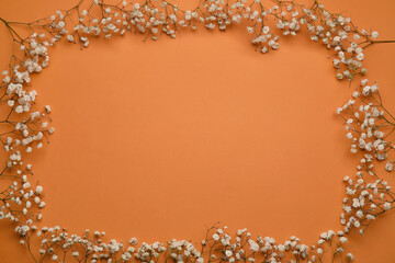 Frame made of beautiful gypsophila flowers on color background
