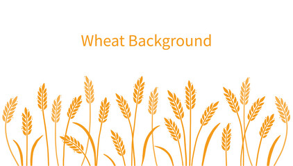 Wheat, barley, field background for oat, cereal. Hand drawn sketch style oat with grain. Wheat vector illustration background. Golden color barley. © Polina Tomtosova