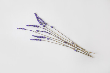 Fototapeta na wymiar Beautiful lavender flowers on grey background