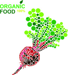 organic food beetroot natural