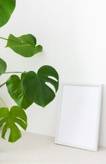 Home decor mocap, empty picture frame near white painted concrete wall, green Monstera home flower