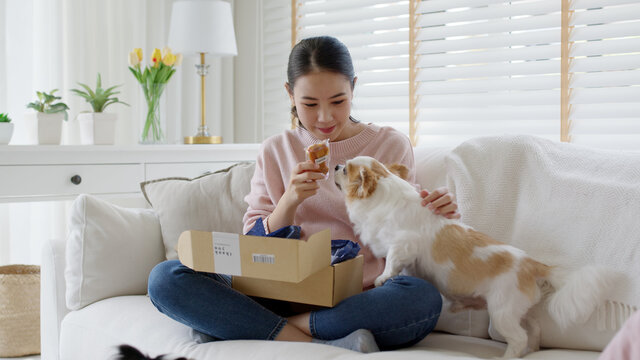Young happy asia people girl smile enjoy with cute dog unbox snack food post mail sit relax at home comfort sofa couch in omni channel fast send parcel via online sale pet shop store e-commerce order.