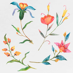 Fototapeta na wymiar Colorful watercolor flowers vector set