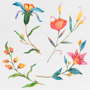 Colorful watercolor flowers vector set