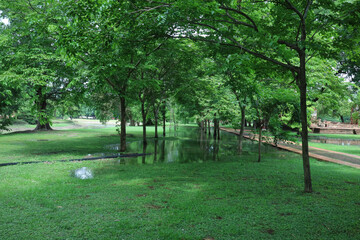 the park