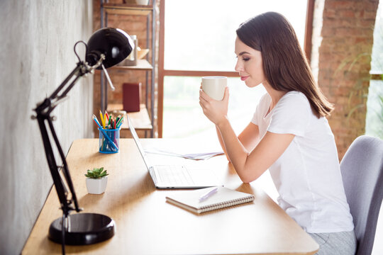 Photo portrait brunette woman sitting at table with laptop drinking coffee working remotely