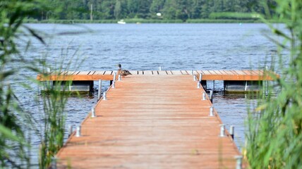 Naklejka premium A wooden pier on lake